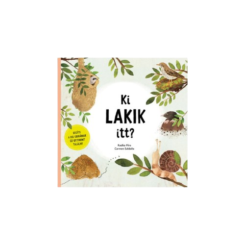 Ki lakik itt? - Segíts a kis csigának új otthont találni!