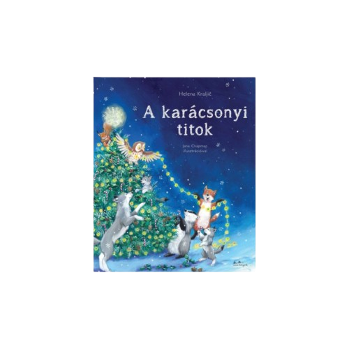 A karácsonyi titok